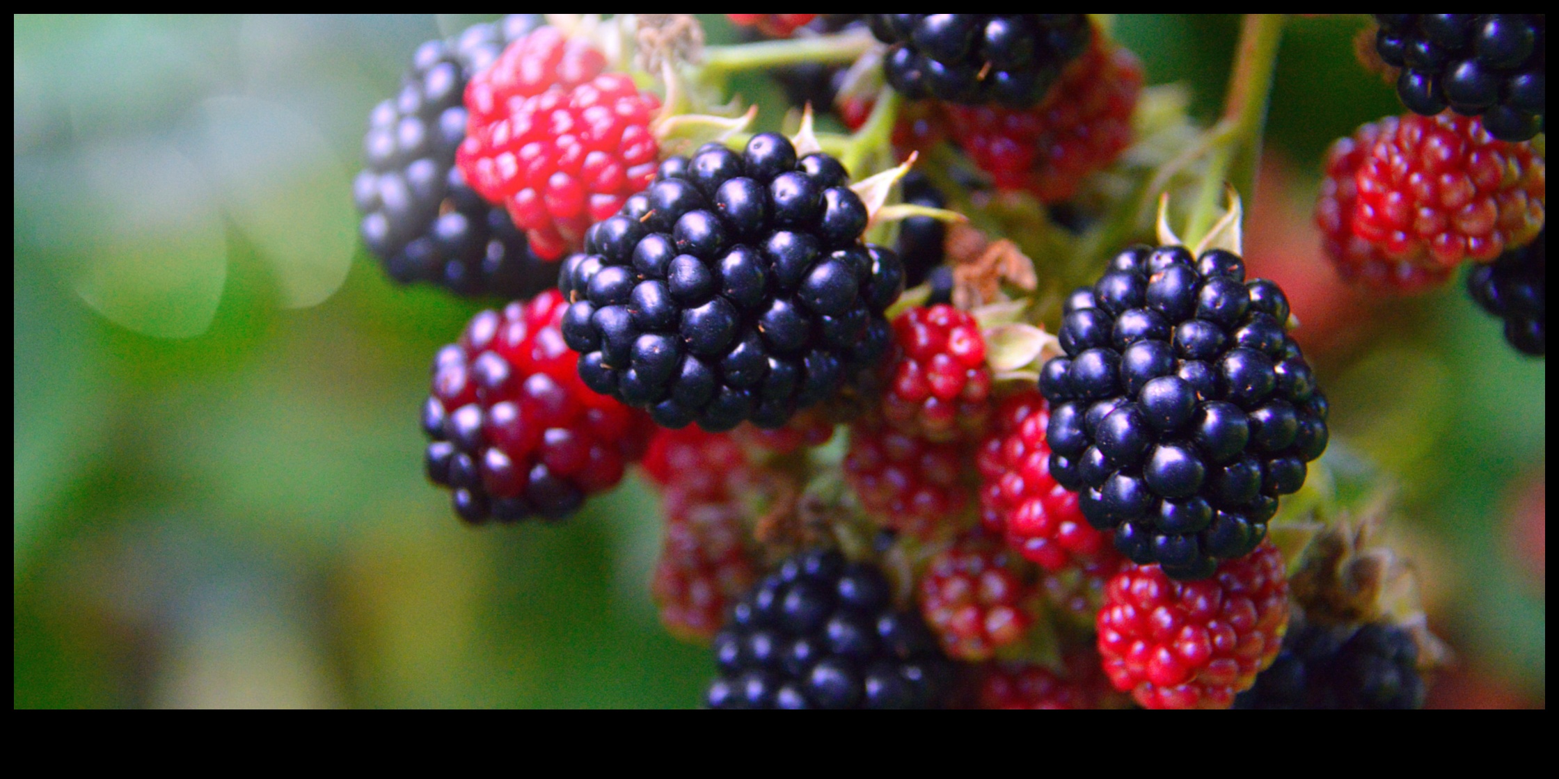 Berry Bliss Ένας γλυκός και χυμώδης τρόπος για να απολαύσετε φρέσκους χυμούς φρούτων 3 Berry Bliss: Αφεθείτε σε γλυκούς και χυμώδεις χυμούς φρέσκων φρούτων