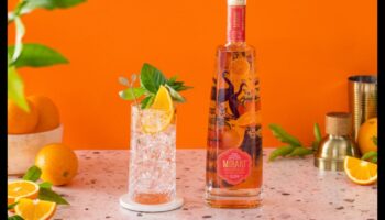 Citrus Symphony: Reveling in the Harmonious Blend of Fresh Juices