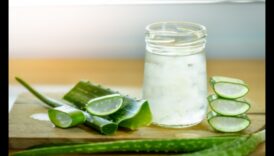 DIY Aloe Vera Adventures: Δημιουργία μοναδικών και γευστικών ελιξιρίων