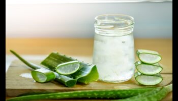 DIY Aloe Vera Adventures: Δημιουργία μοναδικών και γευστικών ελιξιρίων