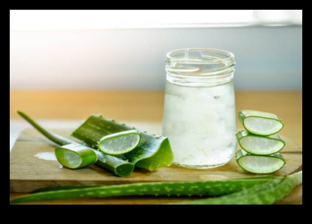 DIY Aloe Vera Adventures: Δημιουργία μοναδικών και γευστικών ελιξιρίων