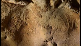 Early Engravings: Creating Patterns in Prehistoric Art