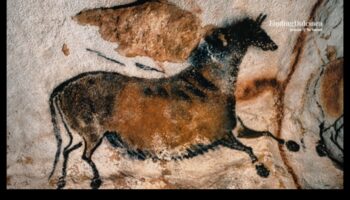 Cave Canvas: Unraveling the Mysteries of Prehistoric Art