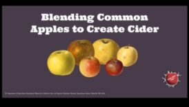 Τάρτα και νόστιμα: Ένας οδηγός για τη δημιουργία τέλειων μιγμάτων μηλόξυδου